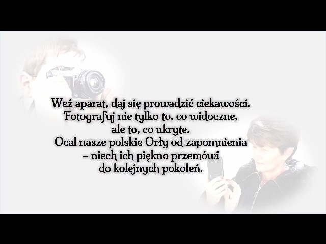 Orly czekają na odkrycie!